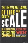 West, Geoffrey - Scale. The Universal Laws of Life and Death in Organisms, Cities and Companies