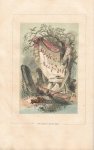 Elisée Reclus (1830-1905).‎ - Géographie de la Belgique.