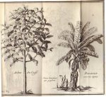 Hans Sloane, J. Raulin - Histoire de la Jamaïque