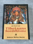 Novick, R. MacClen - De poort tot Tibetaans boeddhisme / druk 1
