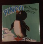 Pixie - Pingo