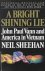 A Bright Shining Lie John P...