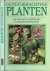 Geneeskrachtige planten .. ...