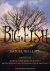 BIG FISH (FILMEDITIE)