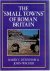 The 'small towns' of Roman ...