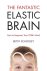 The Fantastic Elastic Brain