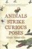 Animals Strike Curious Poses