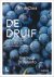 De druif / Wine Class