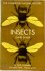 Insects - Volume Two: Insec...