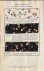 Crafts [1974?] | VLISCO: Vl...