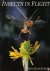 Insects in Flight