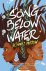 A Song Below Water A Novel