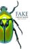 V. Frolke - Fake