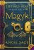 Angie Sage - Septimus Heap, Book One: Magyk