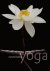  - Transformatieve yoga