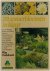 201 zomerbloemen in kleur :...