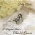 Debby Roosa - A Designer's Book of Bridal Gowns