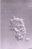 Page, F.C. - An Illustrated Key to Freshwater and Soil Amoebae: With Notes on Cultivation and Ecology