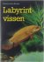 Labyrintvissen