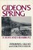 Gideon's Spring: A man and ...