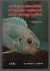 African cichlids of Lakes M...