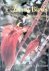 Johnsgard, Paul A. - Arena Birds: Sexual Selection and Behavior