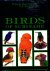 Haverschmidt, Francois / Mees, G.F. - Birds of Suriname