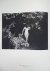 Pierre Bonnard; photographs...