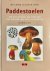 Renske de Boer - PADDESTOELEN