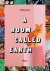 Madeleine Ryan - A Room Called Earth