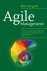 Mike Hoogveld - Agile Management