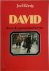 David - Door de mazen van h...