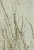EICH, Matt - Matt Eich - Seasonal Blues / SBV8 - Volume VIII - Fall 2020 - [Signed].