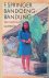 Springer, F. - Bandoeng-Bandung: een novelle