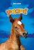 Paard / Baby-dieren