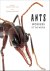 (1) Ants: Workers Of The World