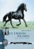 Het friese paard