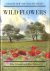 Wild Flowers