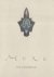 Samuel Clark - The Moro Cookbook