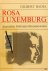 Rosa Luxemburg. Journaliste...