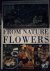 FROM NATURE FLOWERS. With d...