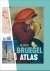 Gunter Hauspie - De Grote Bruegel Atlas