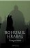 B. Hrabal - Praagse ironie