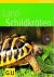 Land-Schildkröten