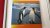 Chester, Jonathan - Penguins - Birds of distinction