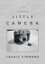 Laurie Simmons – Big Camera...