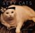 J. C. Suares - Sexy Cats