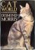 Desmond Morris 29735 - Cat World