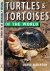 Turtles  Tortoises of the W...