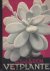 Plaatjesalbum Vetplanten - ...